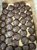 Bite Size Turtles
